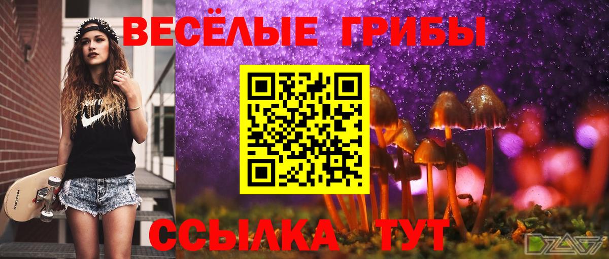 Псилоцибиновые грибы мухоморы  Вход с VPN  Благодарный 